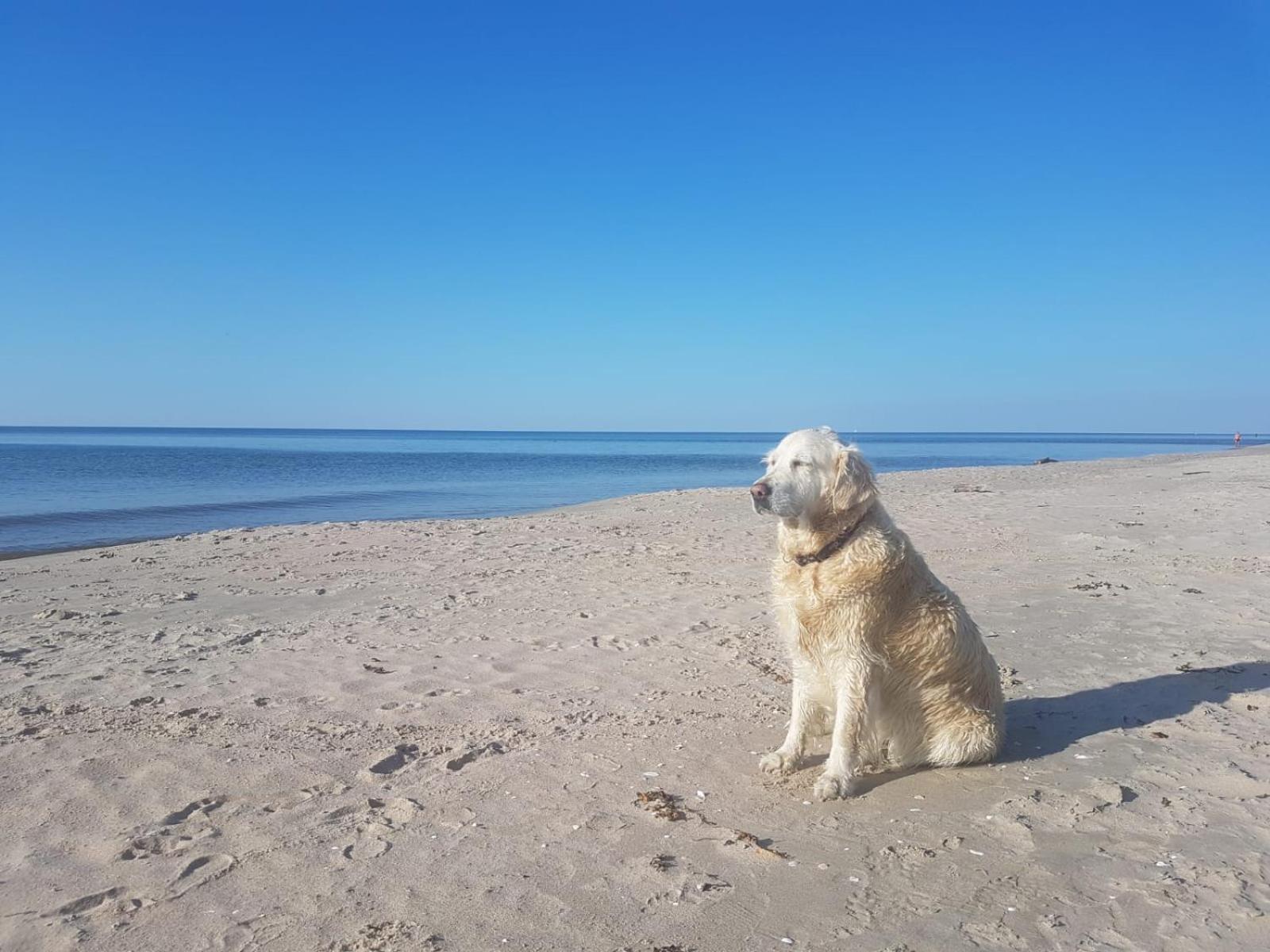 "Morskie Katy" - Kąty Rybackie Esterno foto